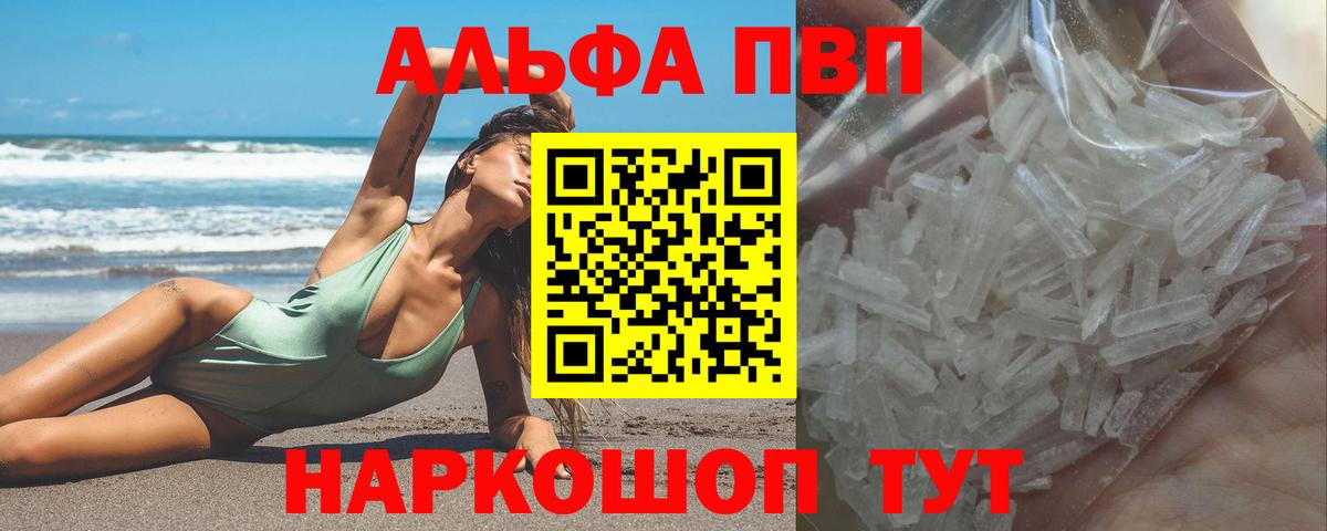 Альфа ПВП СК Дагестанские Огни
