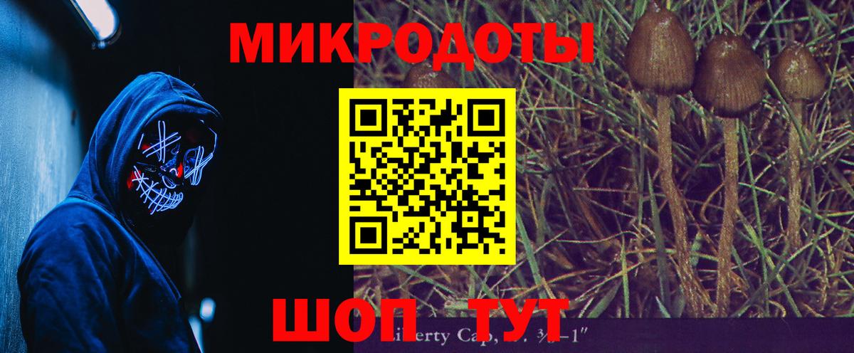 Псилоцибиновые грибы мицелий Дагестанские Огни